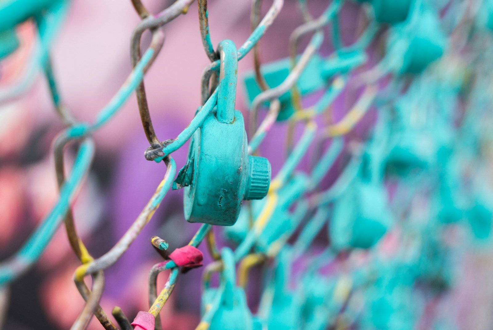 teal padlock on link fence